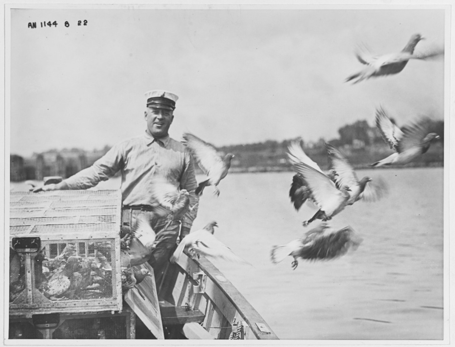 Young carrier pigeons are liberated on their first flight for training purposes, Potomac River, Washington, D.C. The picture was taken when the birds were one half mile from their loft. Short “tosses” up to three miles were usually made by boat on the Potomac River, while the longer tosses were made from a truck. After the pigeons were tossed from the 35-mile liberation point via truck, they were shipped via express train to points of liberation at greater distances.