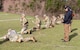 2024 All Army Small Arms Championships