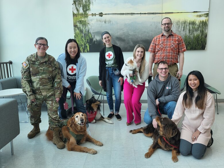 Volunteers for the American Red Cross Animal Visitation Program (AVP), along with their comfort dogs, visit the U.S. Army Corps of Engineers – Far East District headquarters building, March 20, 2024, to interact with its employees as a wellness initiative. During their visit, they pose for a group picture with Col. Heather Levy, FED commander, and the district employees. (US Army photo by Kim Chong-yun)