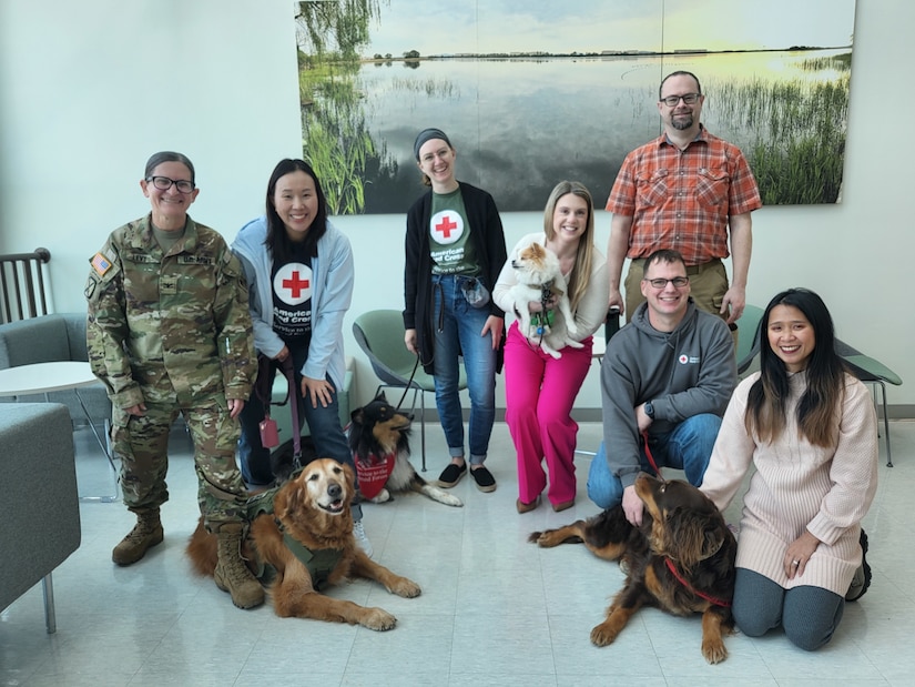 Staff Sgt. Krisynthia Sullivan, a SkillBridge intern from the 11th Engineer Battalion, pets Bella, one of four American Red Cross Animal Visitation Program (AVP) dogs that visited the U.S. Army Corps of Engineers – Far East District on March 20, 2024. The canines’ visit served as a wellness initiative for employees of the district. (US Army photo by Kim Chong-yun)