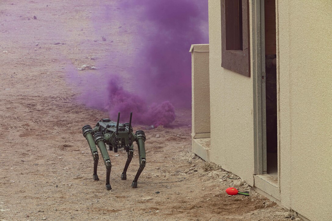 A small robot walks around an urban setting with purple smoke in the background.