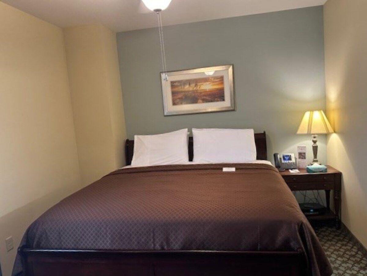 lodging room with a king-sized bed