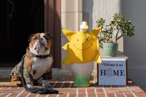 U.S. Marine Corps Pfc. Bruno, the Marine Corps Recruit Depot San Diego and Western Recruiting Region mascot, poses for a photograph during a MCRD Library  Spring Storytime event at MCRD San Diego, California, March 27, 2024. The mascot’s job is to boost morale, participate in outreach work, and attend events and ceremonies. (U.S. Marine Corps photo illustration by Lance Cpl. Janell B. Alvarez)