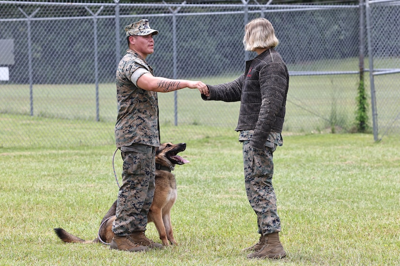 A Marine in a field holding a dog on a leash with one hand reaches out to another Marine with the other; that Marine also extends an arm.