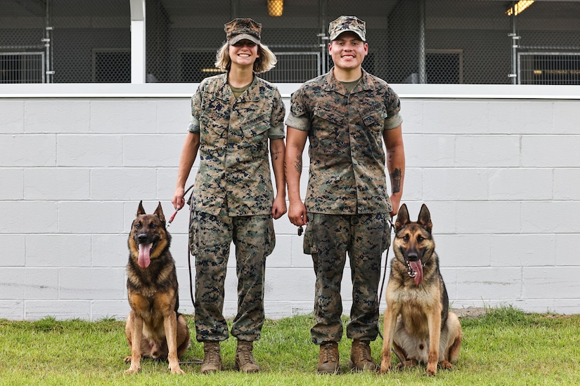 Two Marines in camouflage stand next to each other outside a building holding working dogs on leashes.