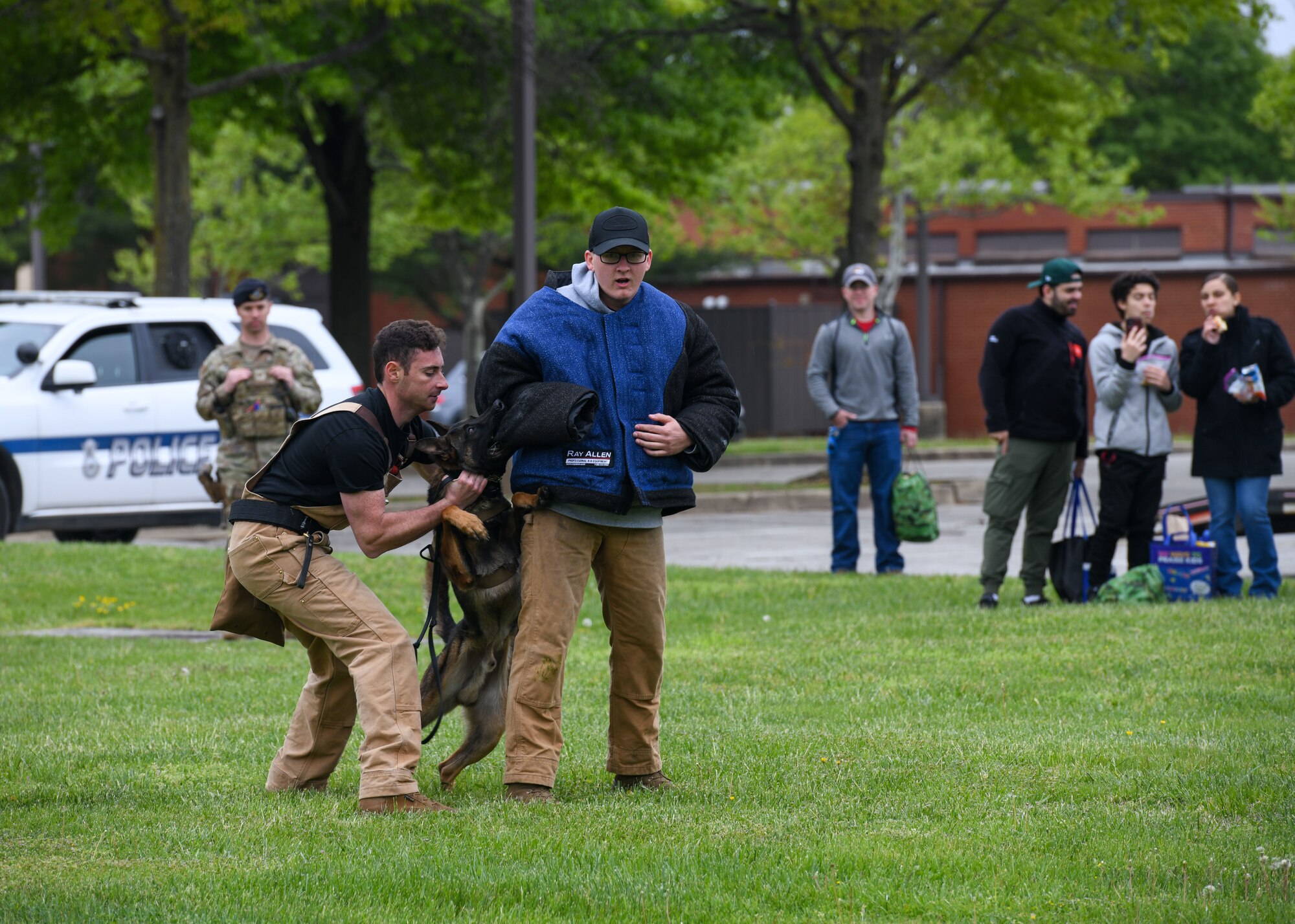 Man restrains working dog in exercise.