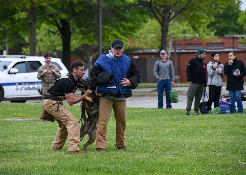 Man restrains working dog in exercise.