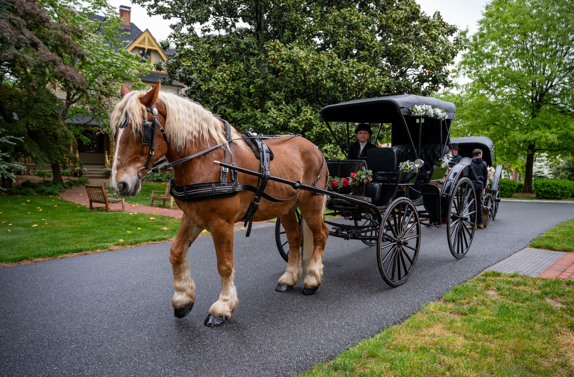 A horse-drawn carriage waits in front of Woodburn, the governor’s residence, before the annual Dover Days Parade in Dover, Delaware, May 4, 2024. This was the 91st Annual Dover Days festival, that highlights the First State’s history and heritage with a firework show, multiple vendors and a parade. (U.S. Air Force photo by Airman 1st Class Amanda Jett)