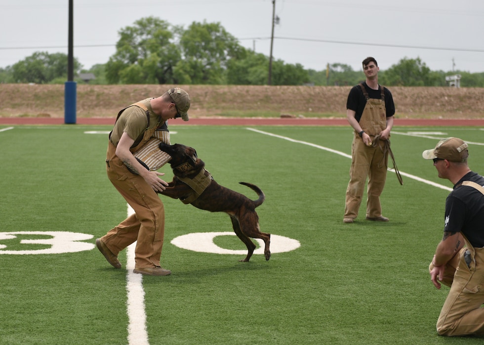 U.S. Air Force Senior Airman Stuart Jenne, 17th Security Forces Squadron K9 handler, takes part in a demonstration during Operation K.I.D.S. (Kids Investigating Deployment Services) at Goodfellow Air Force Base, Texas, April 27, 2024. Operation K.I.D.S. participants learned some of the vital roles that K-9 units play in ensuring the safety and security of deployed personnel with a military working dog demonstration. (U.S. Air Force photo by 2nd Lt. Harris Hillstead)