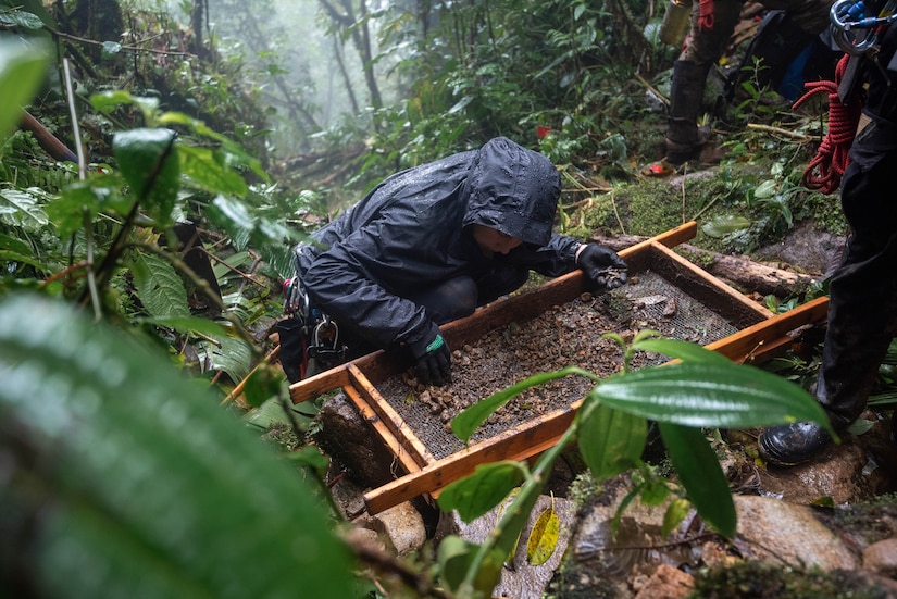 A person sifts through dirt in a rainforest.
