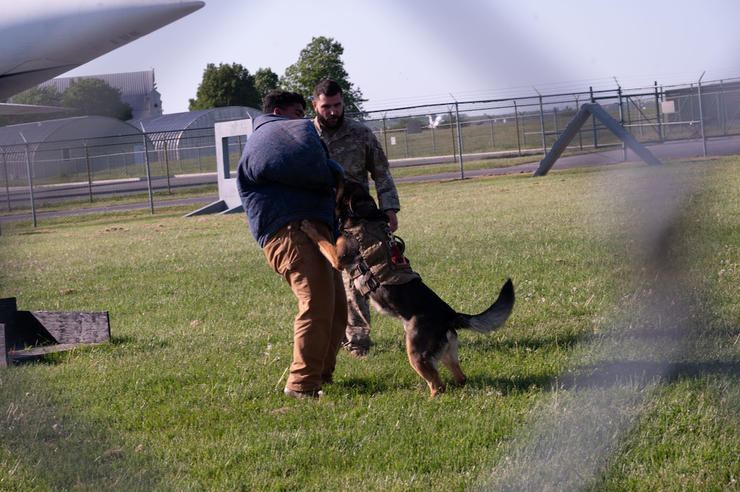 U.S. Air Force Military Working Dog Taco, performs bite training during the 436th Medical Group Community Providers Meet and Greet on Dover Air Force Base, Delaware, May 2, 2024. This event aided in Team Dover’s commitment to building partnerships in the surrounding community. (U.S. Air Force Photo by Airman 1st Class Dieondiere Jefferies)