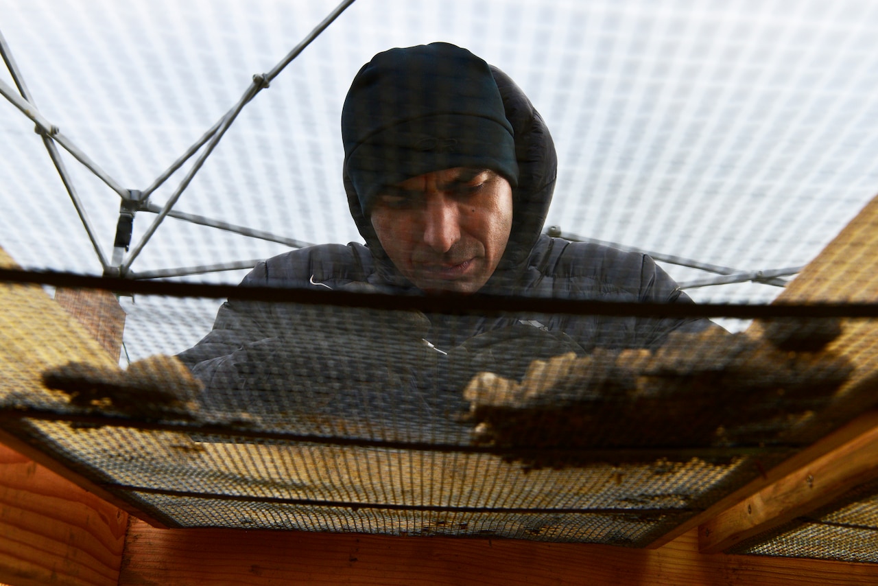 A person sifts dirt through a screen.