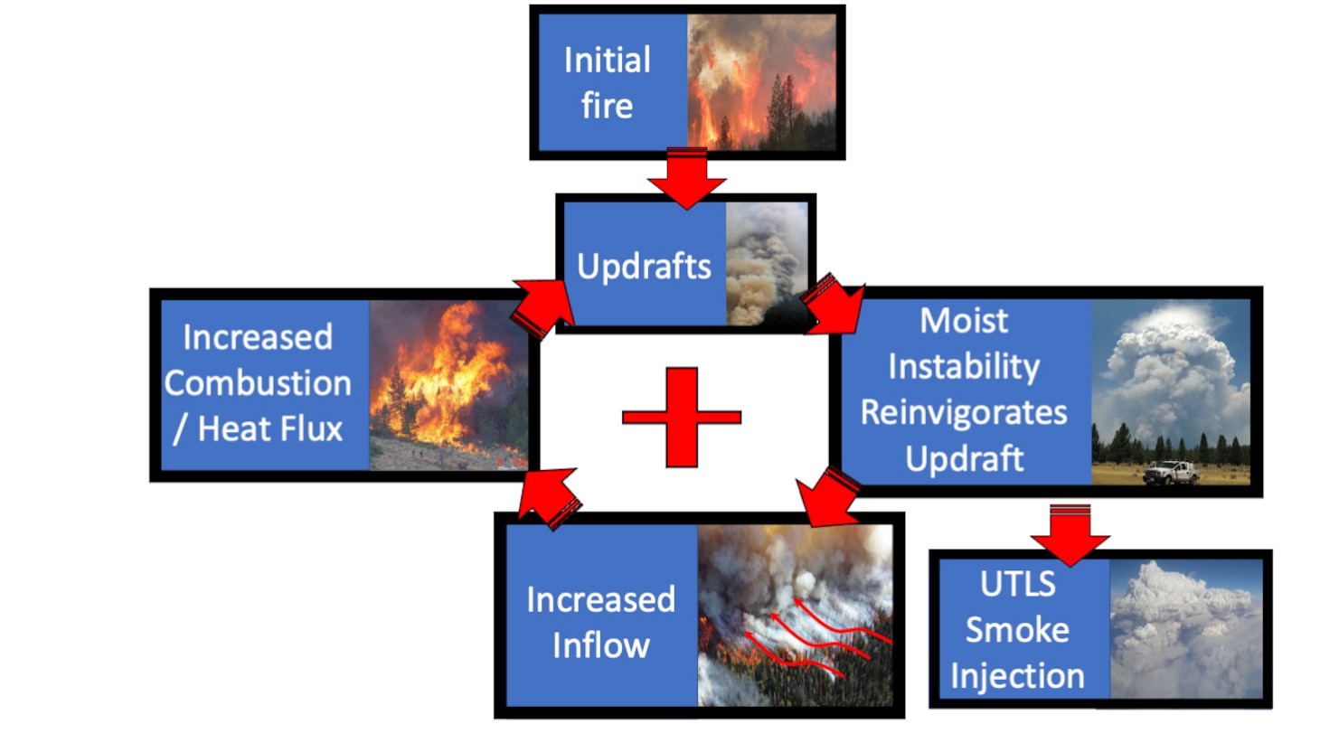 Conceptualized PyroCb Feedback Loop