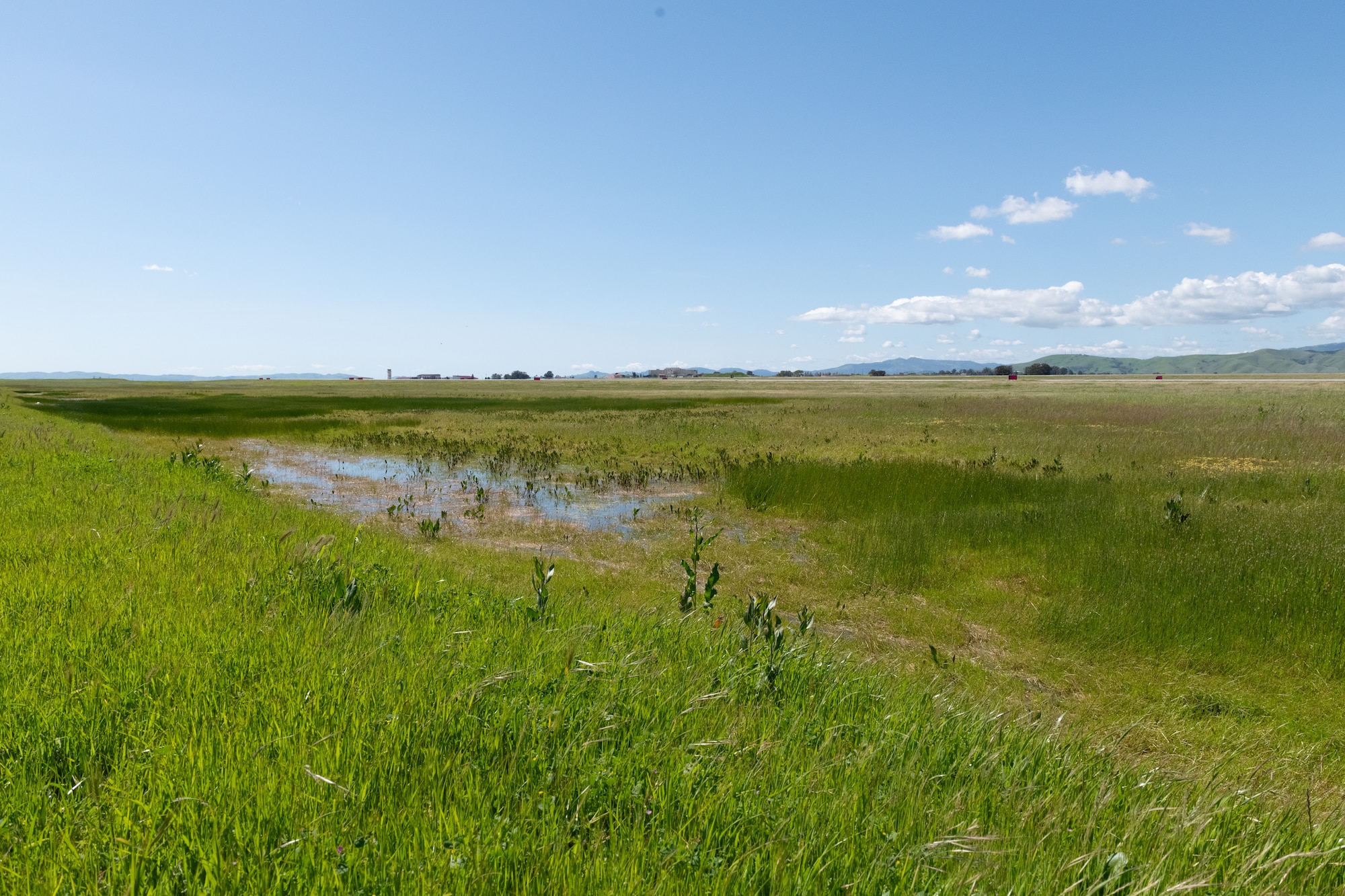 Grassland and vernal pool habitat at Travis Air Force Base.