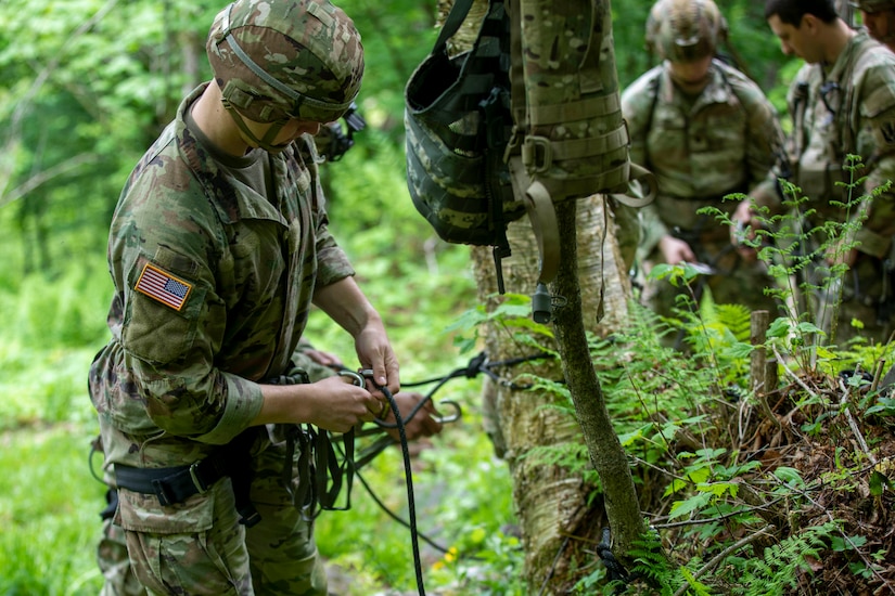 A man ties a knot in a rope that’s around a tree in dense foliage.