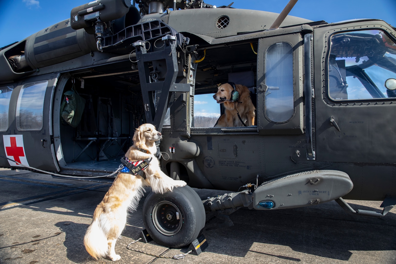 The District of Columbia Army Aviation hosted a wellness event featuring veteran and content creator Kavin Bubolz along with his dogs Emma and Ellie March 10, 2024 at the Army Aviation Support Facility on Fort Belvoir.