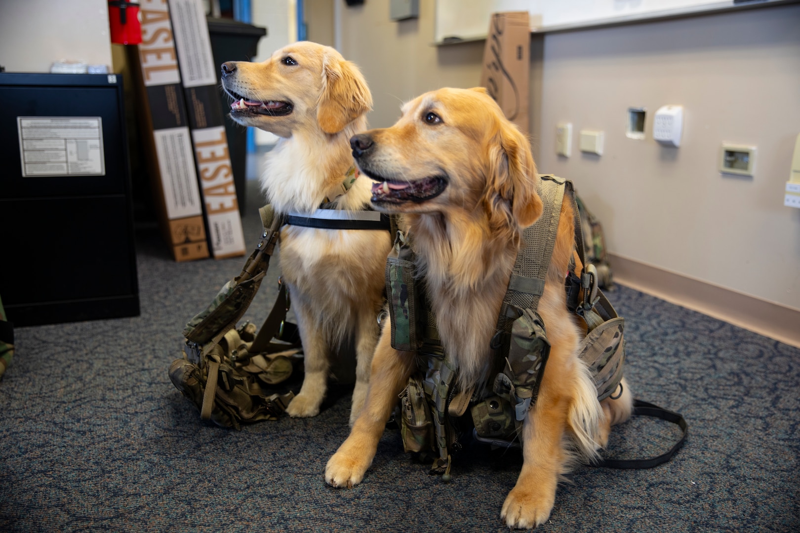 The District of Columbia Army Aviation hosted a wellness event featuring veteran and content creator Kavin Bubolz along with his dogs Emma and Ellie March 10, 2024 at the Army Aviation Support Facility on Fort Belvoir.