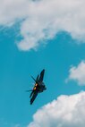 MCAS Cherry Point Air Show 2024