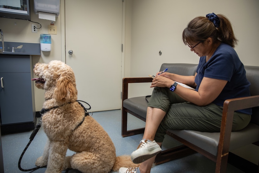 A light brown dog is sitting on the floor in a veterinarian clinic room while his owner is seated next to him filling out a form.