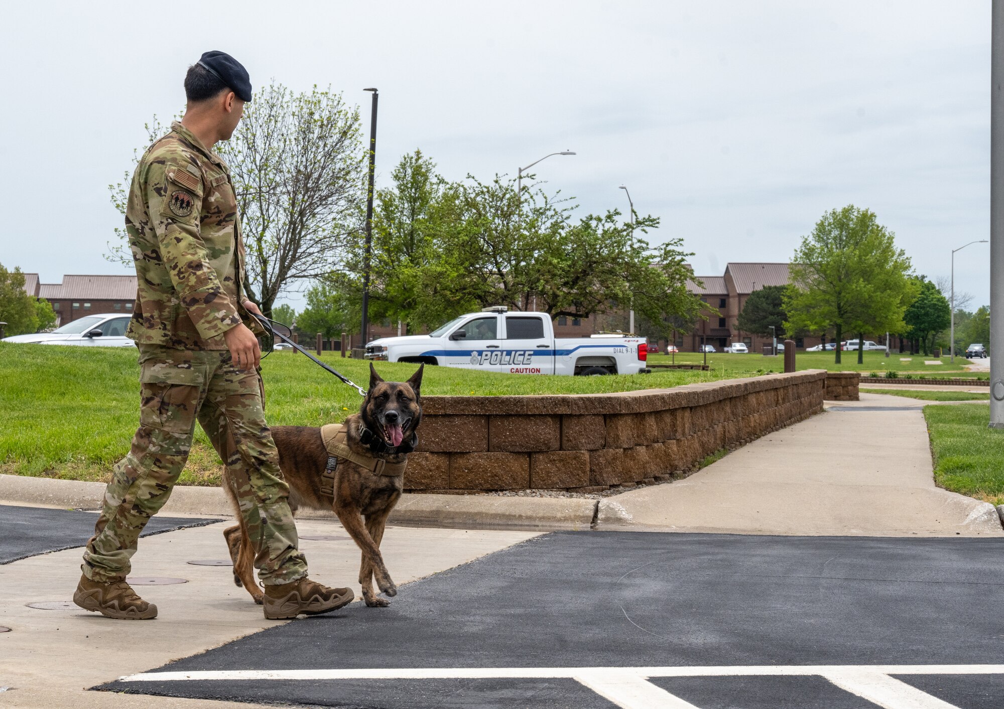 U.S. Air Force Staff Sgt. Marcel Durand, 509th Security Forces Squadron Military Working Dog handler and MWD Azir walk into Azir’s retirement ceremony at Whiteman Air Force Base, Mo., April 26, 2024. During his career Azir supported the mission in several areas to include providing explosive detector dog support for 10 security incidents for three MAJCOMs and participated in over 10 K9 demonstrations educating more than 500 personnel on K9 capabilities. (U.S. Air Force photo by Senior Airman Hailey Farrell)