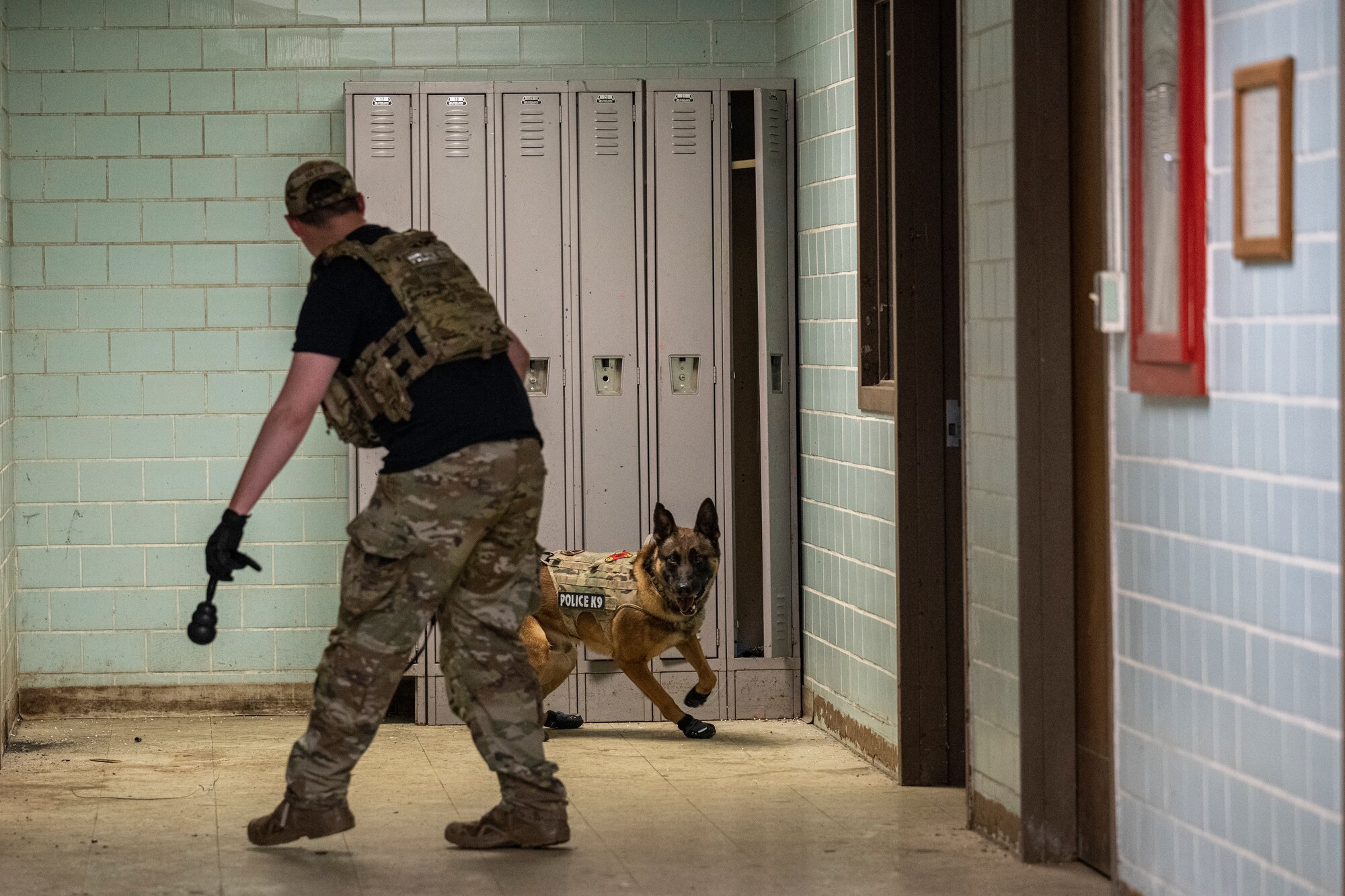 MWD handler holds a dog toy and MWD look towards it inside a training facility.