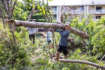 A child removes a dead tree branch during a Weed Warriors event at Marine Corps Base Hawaii, April 27, 2024. U.S. service members and civilians cleared invasive plants from Mokapu Central Drainage Channel to safeguard Nu’upia Ponds from further spread of harmful vegetation. (U.S. Marine Corps photo by Sgt. Brandon Aultman)