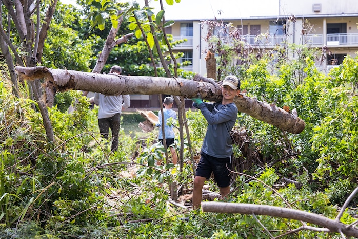 A child removes a dead tree branch during a Weed Warriors event at Marine Corps Base Hawaii, April 27, 2024. U.S. service members and civilians cleared invasive plants from Mokapu Central Drainage Channel to safeguard Nu’upia Ponds from further spread of harmful vegetation. (U.S. Marine Corps photo by Sgt. Brandon Aultman)