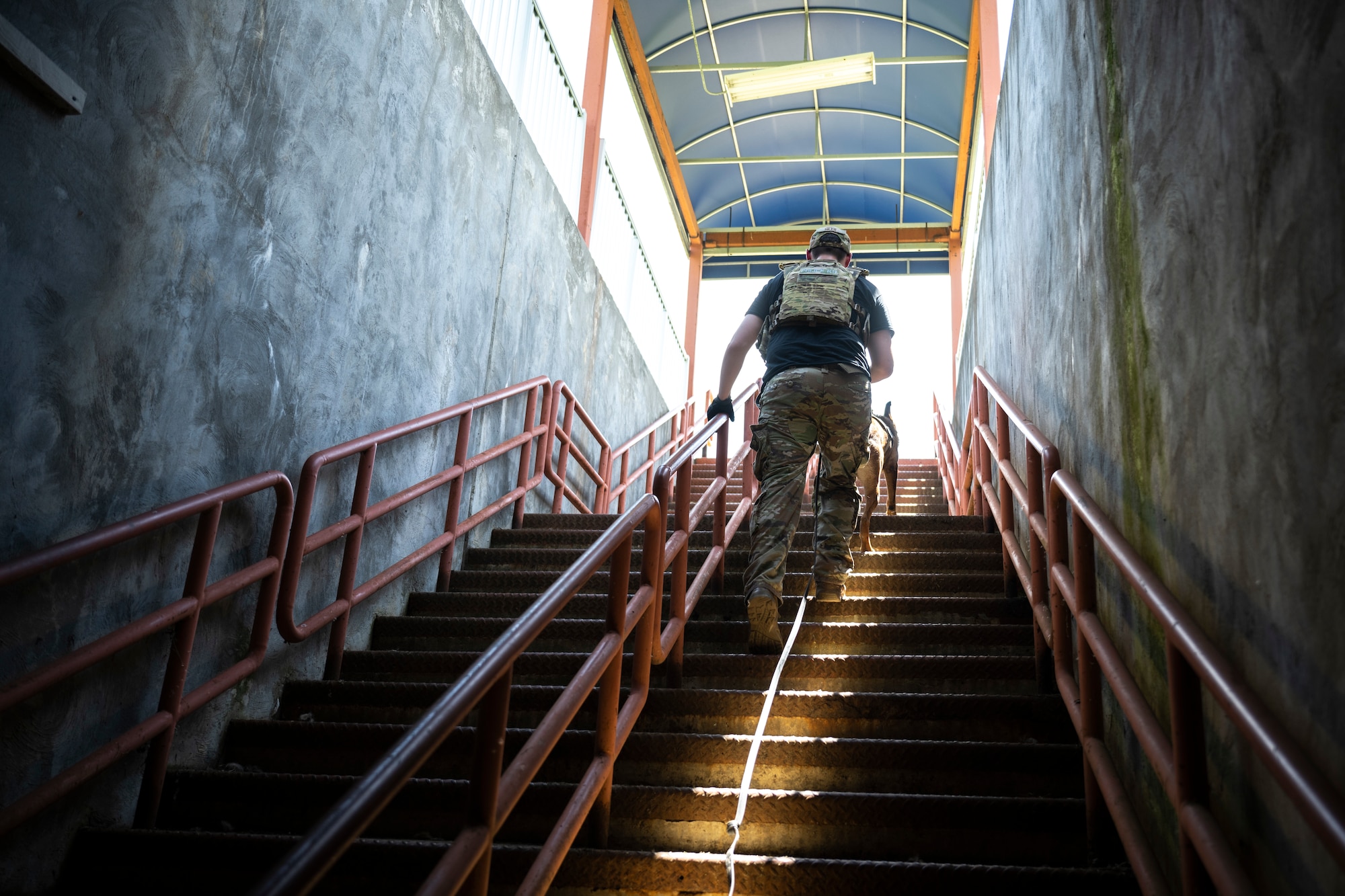 Defender on underground train station stairs with K9.