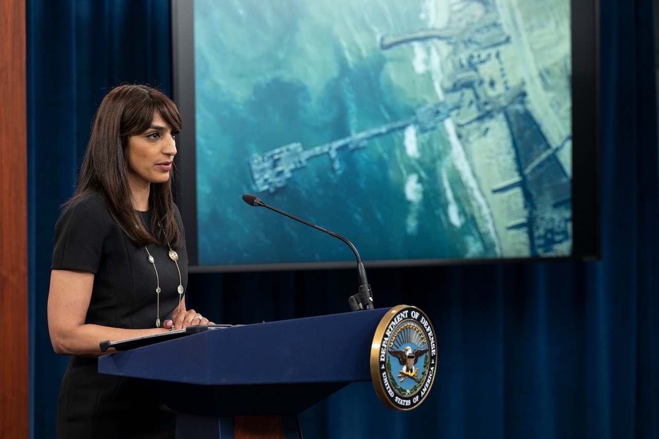 A woman stands at a lectern with a microphone. There is a television screen with an aerial view of the ocean behind her.