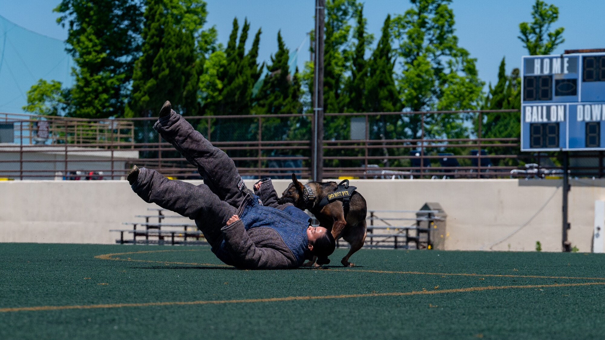 Senior Airman Georgina Silva and  Xxochitl perform a MWD demonstration during Police Week.