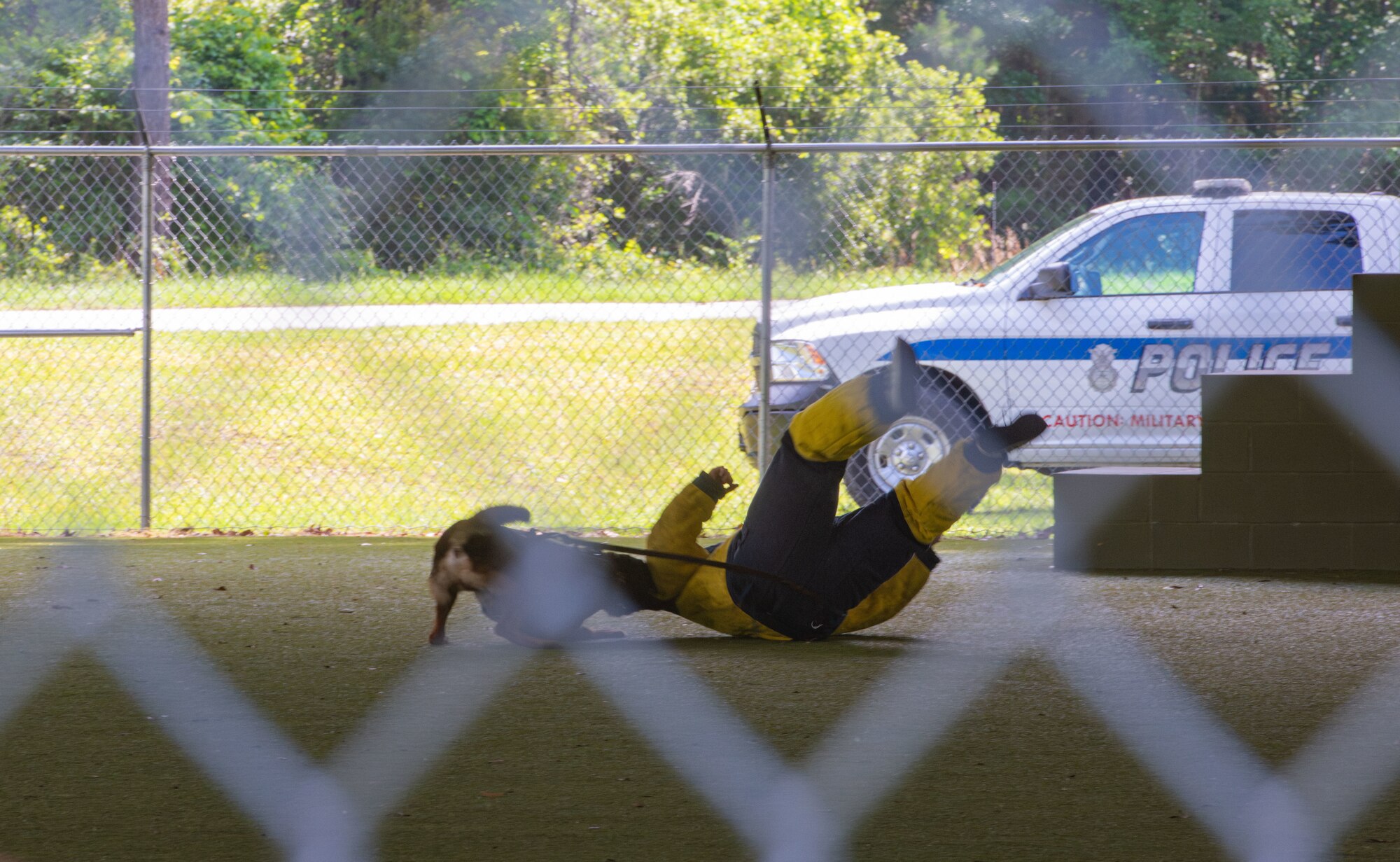 A U.S. Air Force Military Working Dog assigned to the 23rd Security Forces Squadron, completes a takedown during a K-9 competition at Moody Air Force Base, Georgia, May 15, 2024. During National Police Week, Moody AFB hosted various events such as the K-9 competition to celebrate the legacy of law enforcement. (U.S. Air Force photo by Airman 1st Class Sir Wyrick)