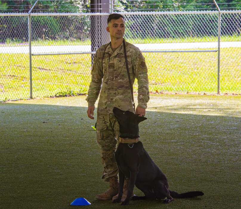 U.S. Air Force Staff Sgt. Chris Mcdonaldo, 823rd Base Defense Squadron military working dog handler, gives his MWD commands during a K-9 competition at Moody Air Force Base, Georgia, May 15, 2024. The K-9 competition was held during National Police week in order to honor officers that have fallen in the line of duty. (U.S. Air Force photo by Airman 1st Class Sir Wyrick)