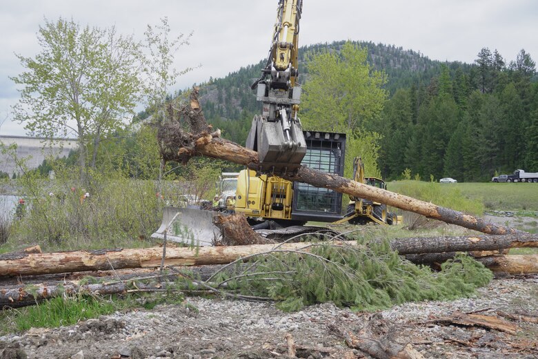 Photo of a crane carrying a tagged wood log toward the Kootenai River, Montana.