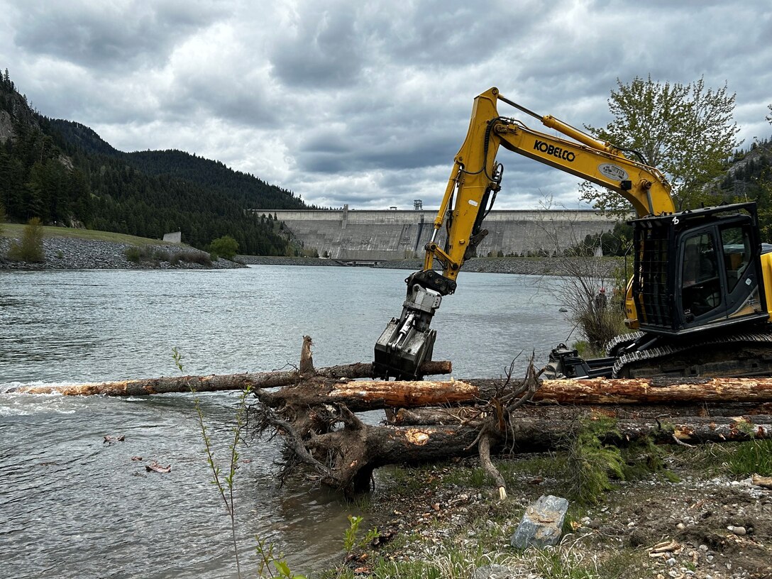 Photo of a crane dropping a tagged wood log into the Kootenai River, Montana.