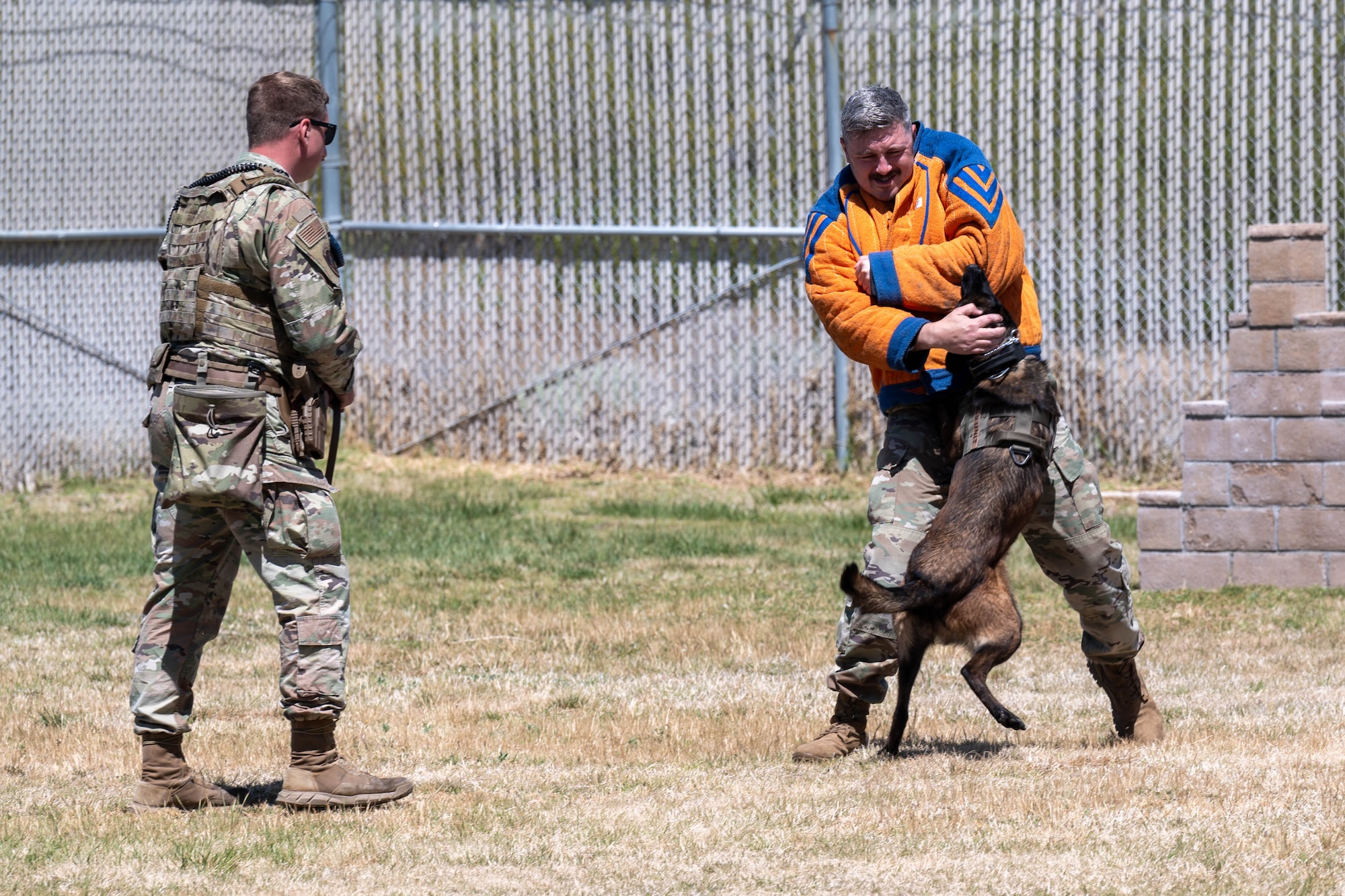 Military working dog handlers perform a demonstration of their partners during a recent visit by base leadership to the MWD facility on Edwards Air Force Base, California. (Air Force photo by Harley Huntington)