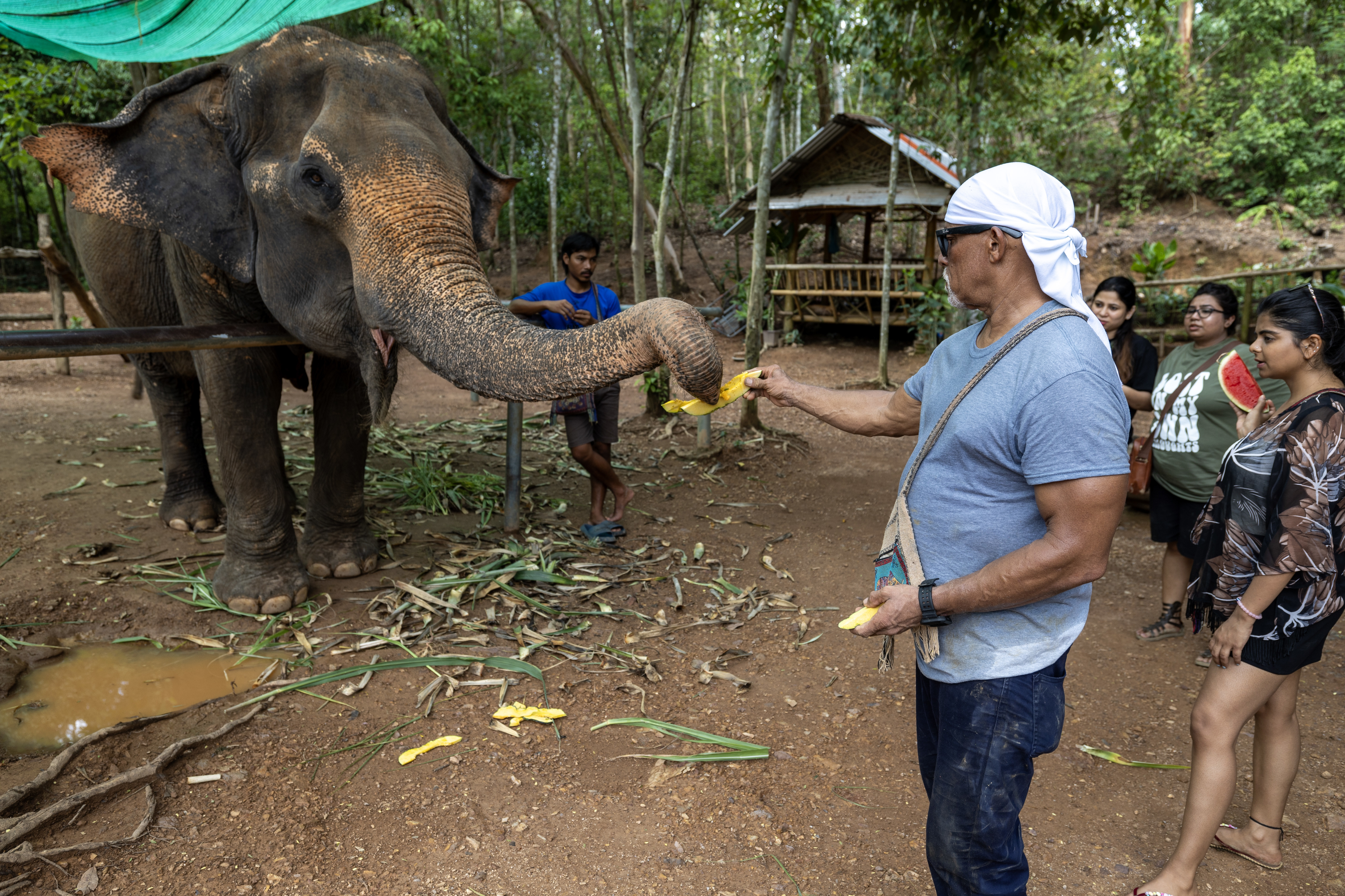 George Olivares, 2nd Engineer, fleet replenishment oiler USNS Yukon (T-AO 202), feeds an elephant at the Pattaya Elephant Sanctuary, in Sattahip, Thailand, during a community outreach event, May 17, 2024. (U.S. Navy photo by Grady T. Fontana)