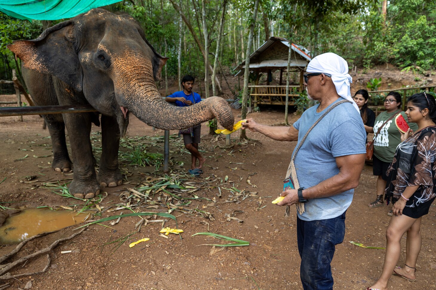 George Olivares, 2nd Engineer, fleet replenishment oiler USNS Yukon (T-AO 202), feeds an elephant at the Pattaya Elephant Sanctuary, in Sattahip, Thailand, during a community outreach event, May 17, 2024. (U.S. Navy photo by Grady T. Fontana)