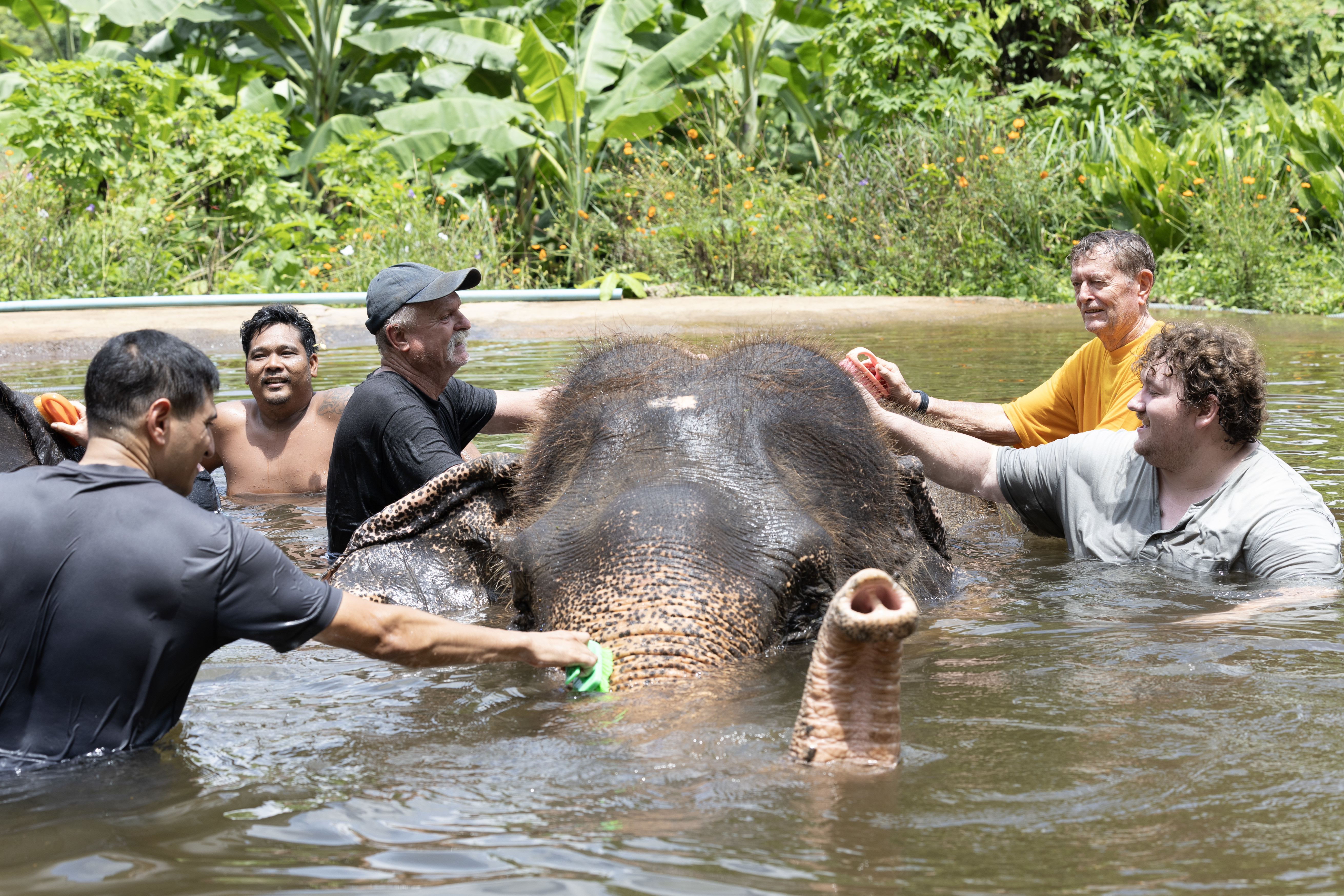 Military Sealift Command personnel scrub an elephant at the Pattaya Elephant Sanctuary in Sattahip.