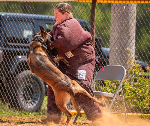military working dog competition