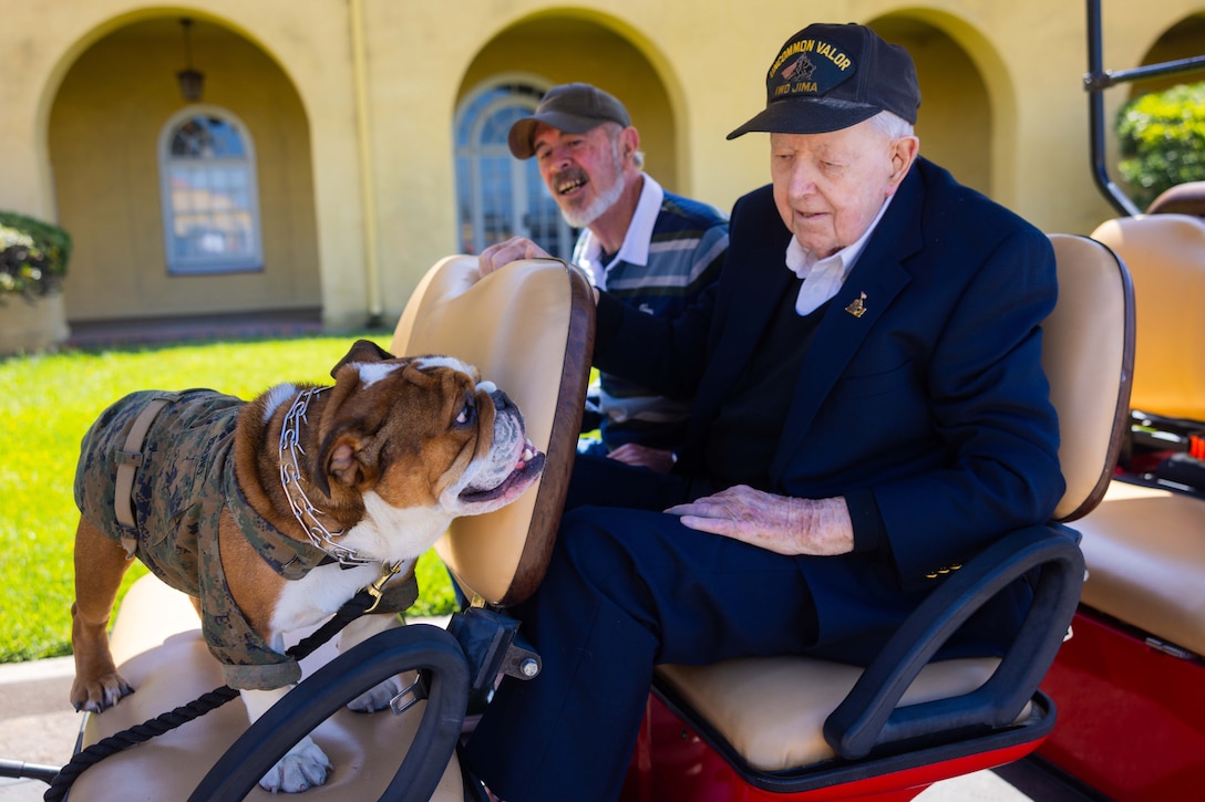 A dog in a Marine Corps uniform stands on the seat of a vehicle and looks at a veteran in the back seat. A second person looks at the dog and smiles.