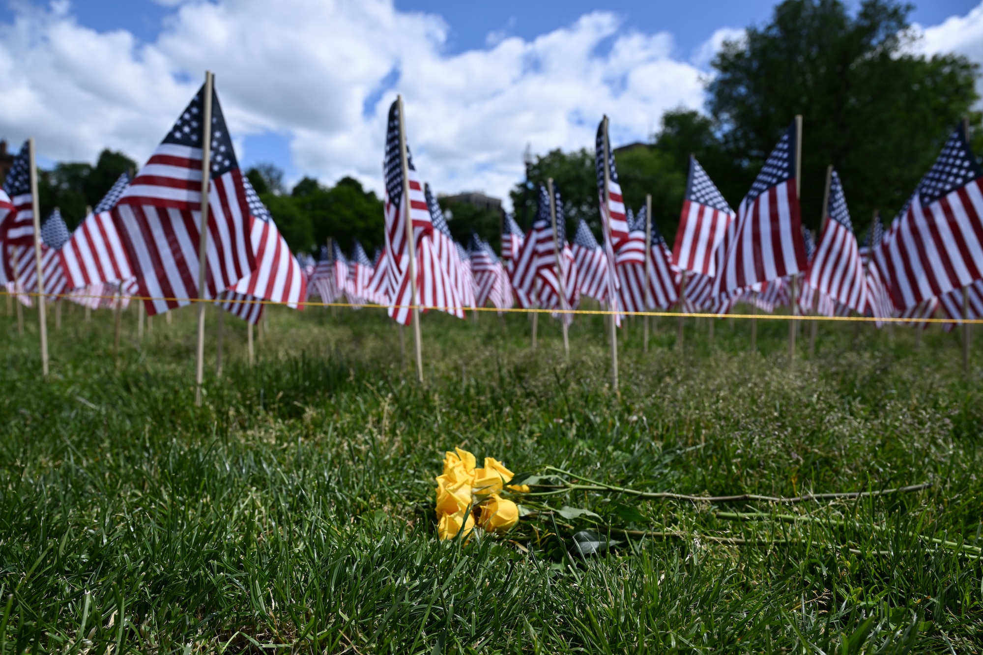 Image of flags