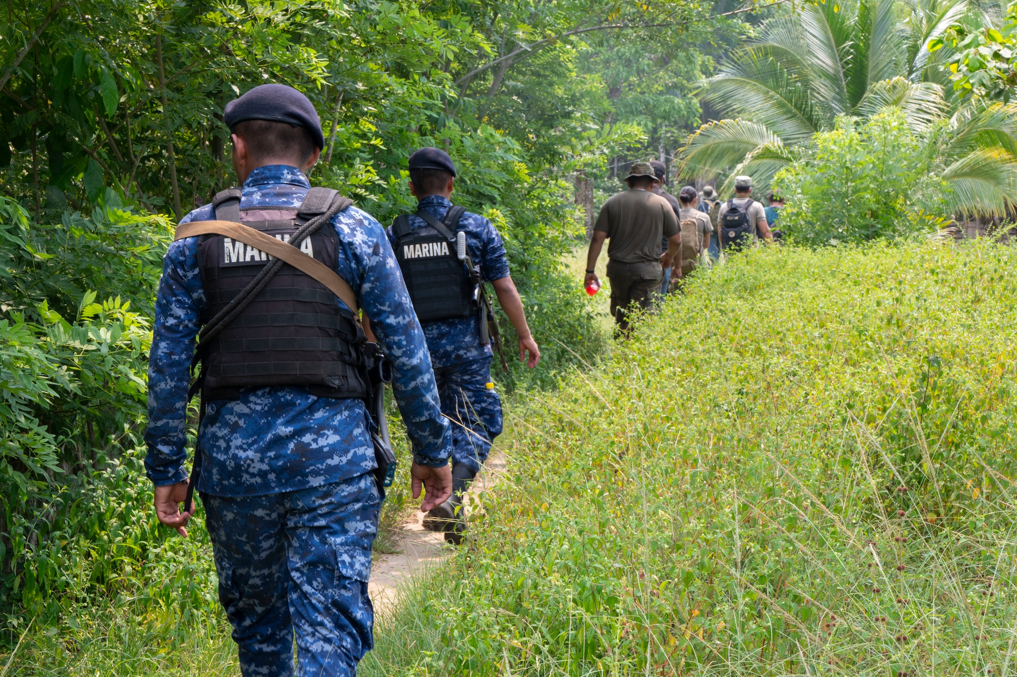 A photo of people walking through tall grass away from the camera.