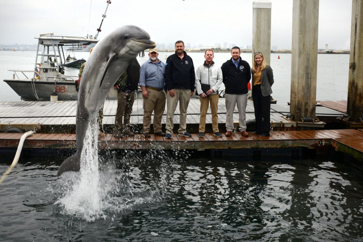 A dolphin jumps out of the water in front of onlookers on a pier.