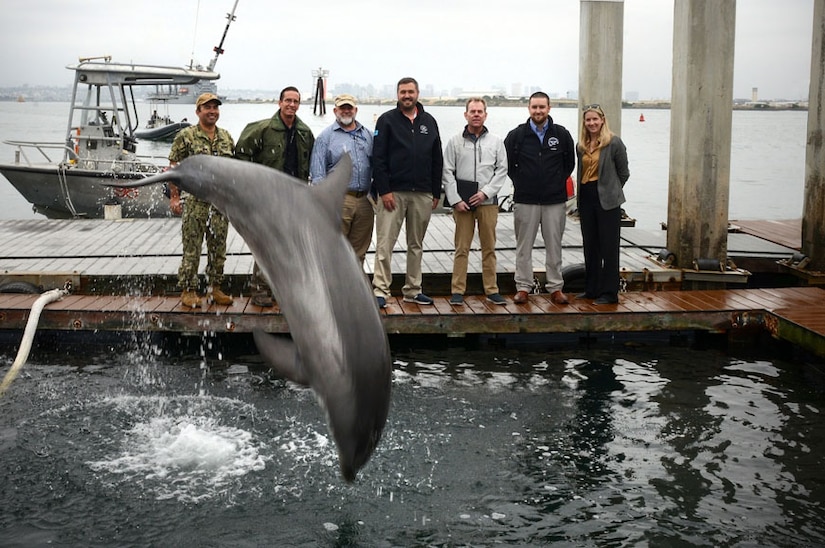 A dolphin jumps out of the water in front of onlookers on a pier.