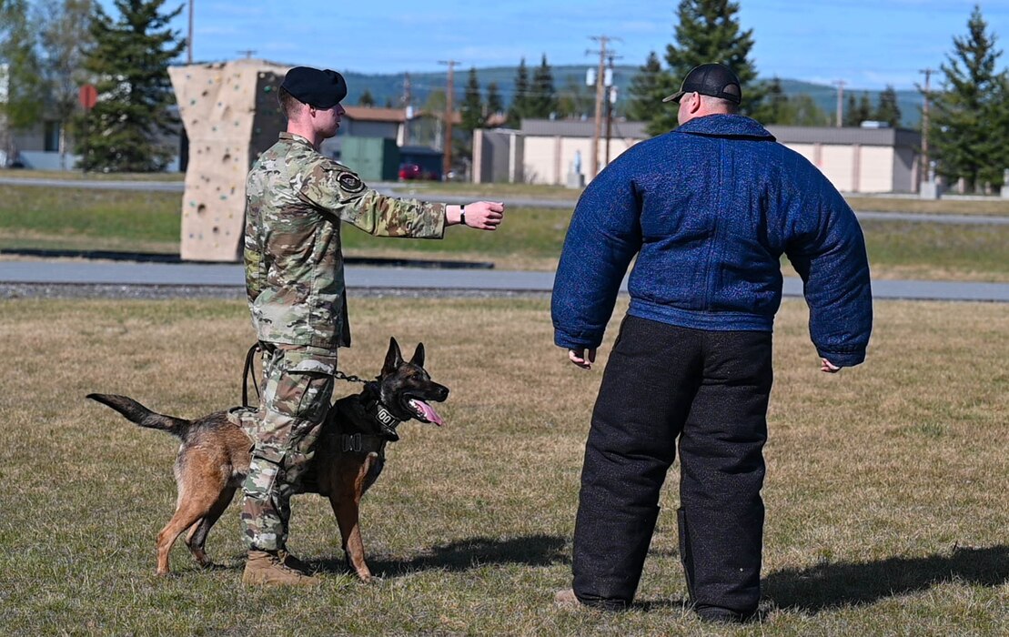 Airmen participate in a K-9 demonstration.