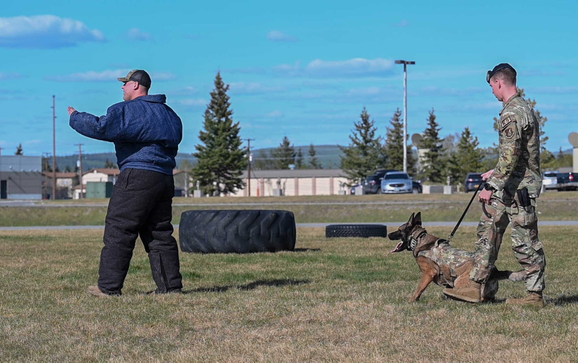 Airmen participate in a K-9 demonstration.
