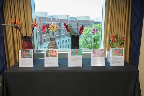 A display of six types of flowers in vases with descriptions of each flower