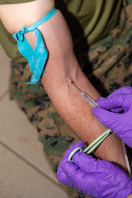 Australian Army PTE. Melissa Murray, right, a medical technician with 1st Health Battalion, 2nd Health Brigade, draws blood during Valkyrie emergency fresh whole blood transfusion training at Robertson Barracks, Darwin, NT, Australia, May 17, 2024. The Valkyrie program enables military units to self-supply blood through emergency donor panels by adequate training, rehearsal, and preparation, gaining the skills and knowledge to efficiently collect whole blood, and conduct blood transfusions in the event of a casualty. (U.S. Marine Corps photo by Cpl. Juan Torres)