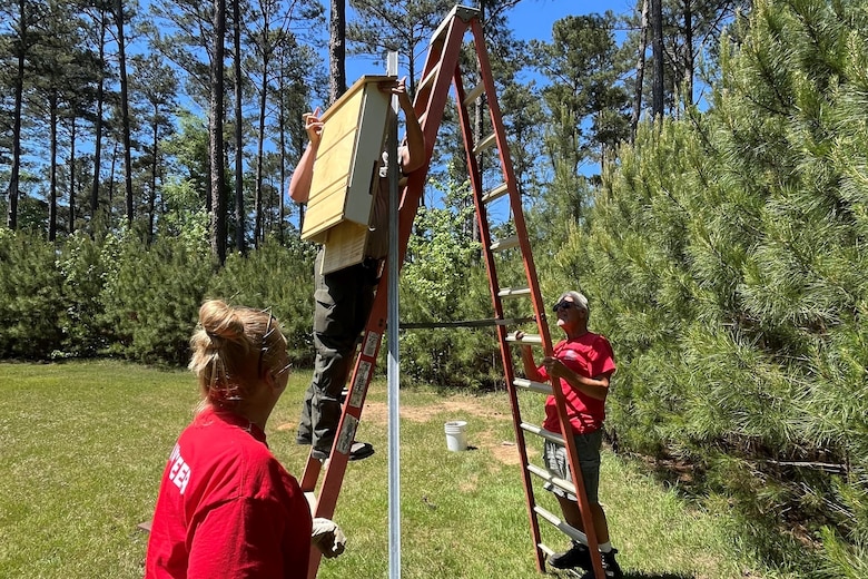 The J. Strom Thurmond Dam and Lake Forest Fish and Wildlife Section recently installed bat boxes at six campgrounds at Thurmond Lake, to attract bat species for insect control, and to provide alternative roosting sites for conservation.