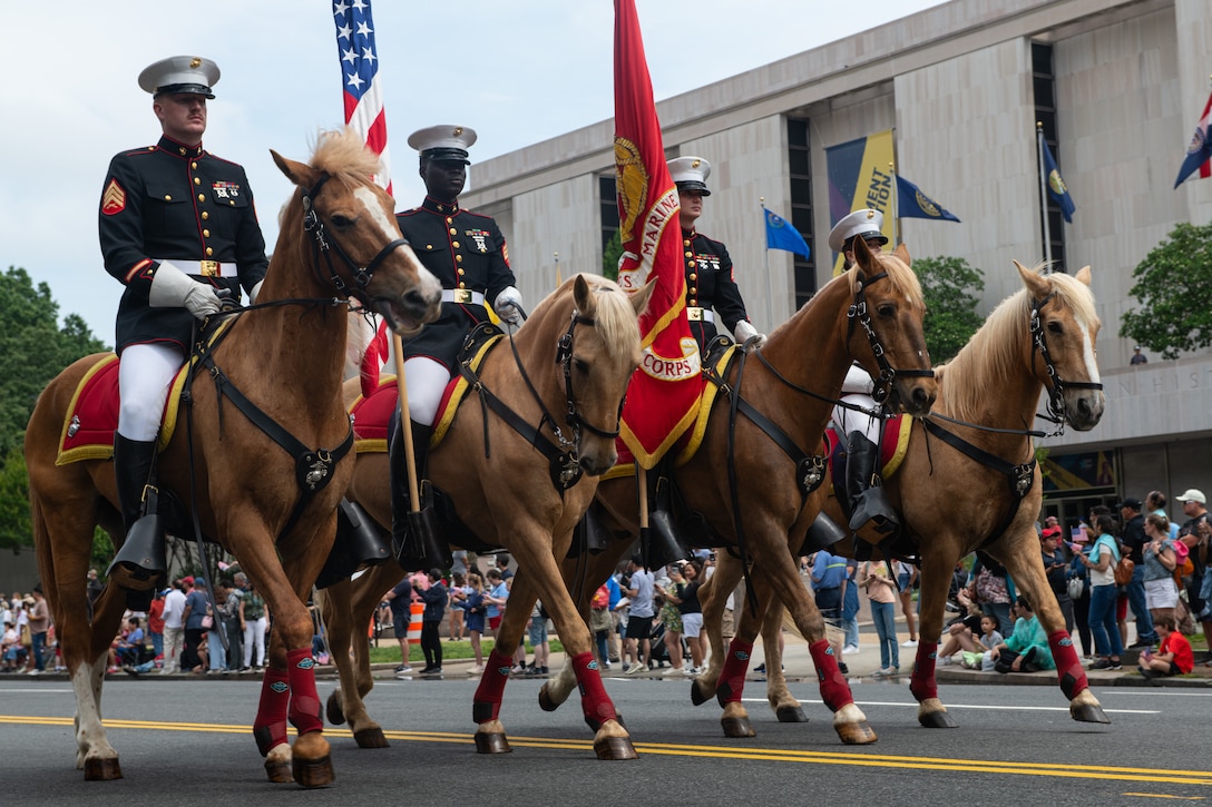 U.S. Marines with Marine Corps Mounted Color Guard walks at the National Memorial Day Parade in Washington D.C., on May 27, 2024. MCG conducted a cross-country journey from Marine Corps Logistics Base Barstow, California, to the National Capital Region for the first time in over a decade to participate in Preakness, the National Memorial Day Parade and a series of additional events designed to uphold the Marine Corps’ prominence, promote the Marine Corps’ only Mounted Color Guard asset and support recruiting nationwide. (U.S. Marine Corps photo Lance Cpl. Diana Salgado)